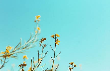 1761949576_b25591_3352e742a2e5467aad7df422106fc278_mv2_d_3000_2000_s_2 1761949576 b25591 3352e742a2e5467aad7df422106fc278 mv2 d 3000 2000 s 2 1